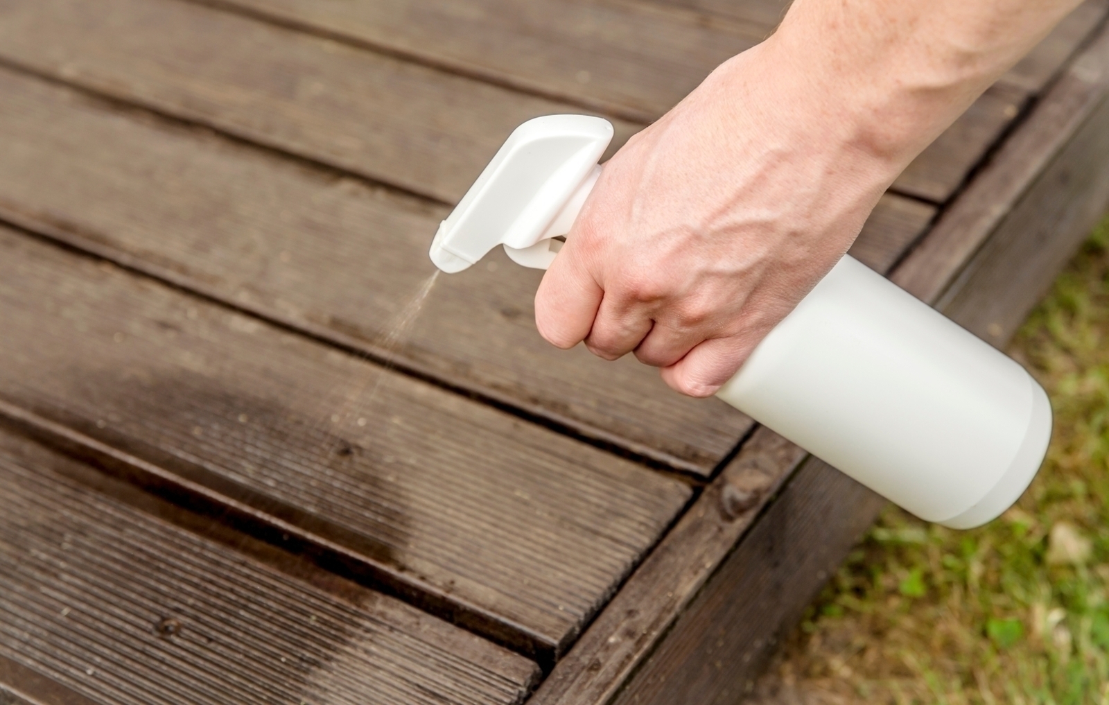 5 Homemade Pest Control Remedies That Really Work